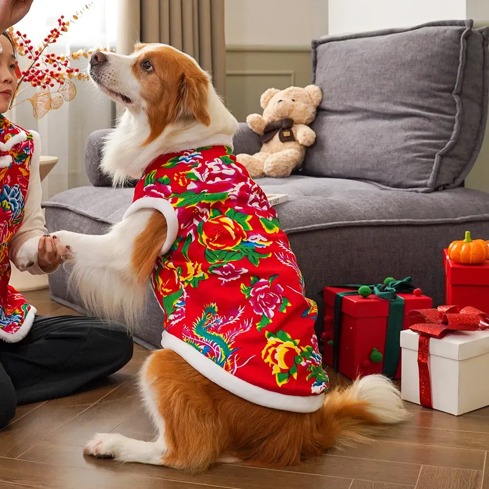 2025  winter dog clothing dog  - Winter Clothing Name ulasan dan harga