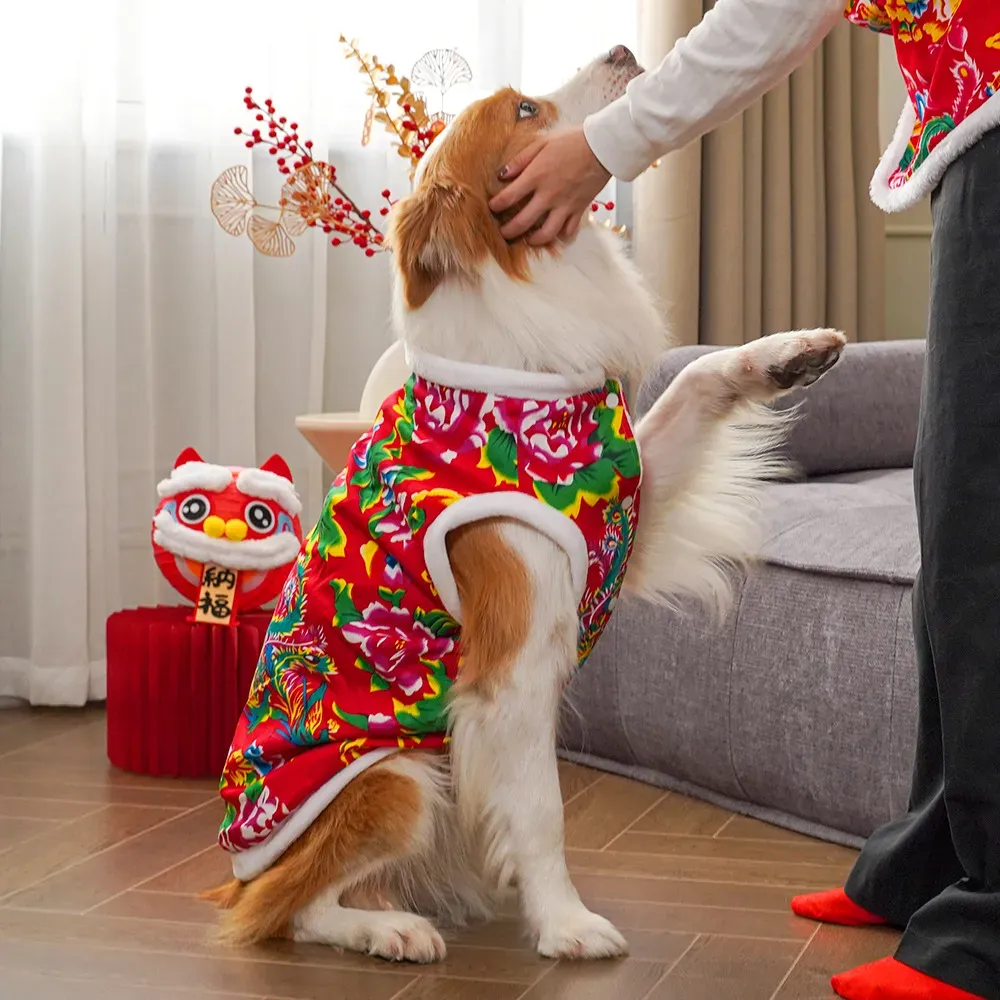 2025  winter dog clothing dog  - Winter Clothing Name ulasan dan harga