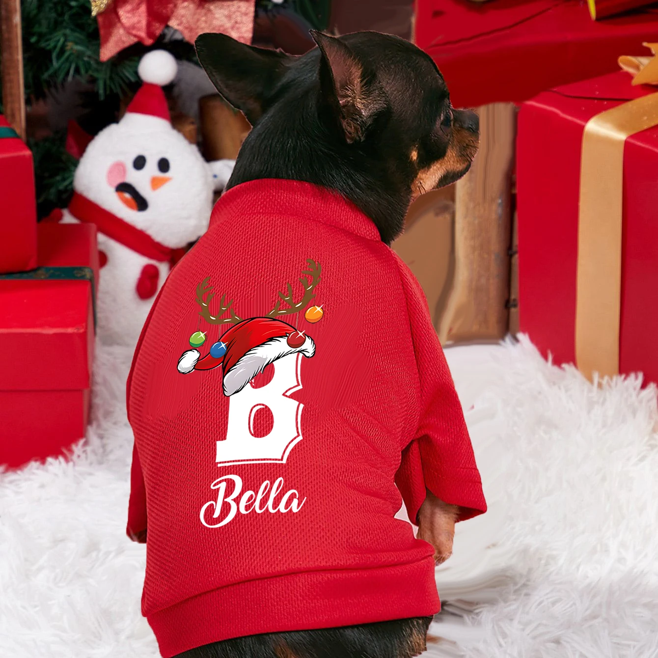 Personalised Christmas Pet Dog - Winter Clothing Name ulasan dan harga