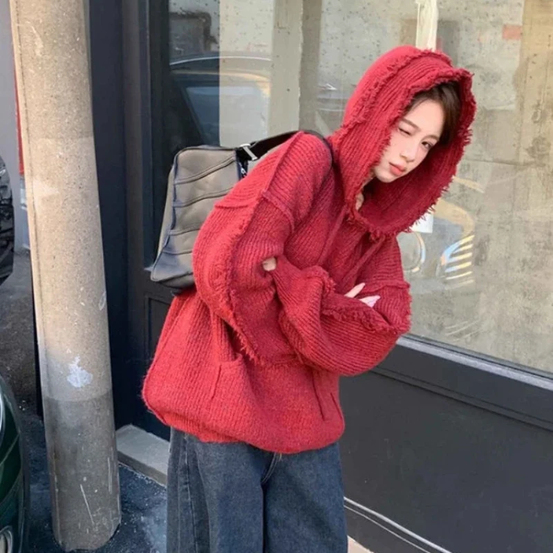 Autumn and Winter Thick Hoodie - Winter Clothing Essentials For Women ulasan dan harga